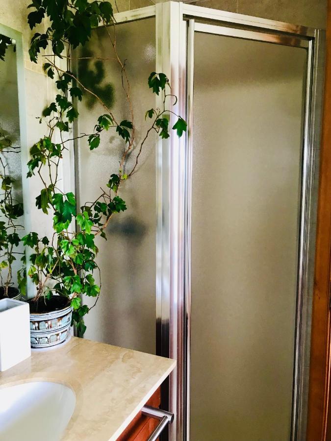 Homestay Abierta Todo El Ano Con Vistas Al Campo, Y Ciudad *